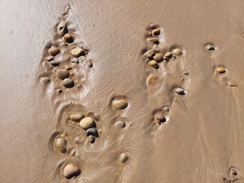 High angle view of footprints on wet sand