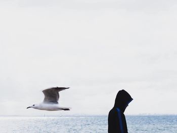 Seagull flying over sea against sky