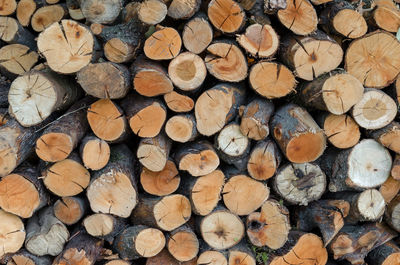 Full frame shot of logs