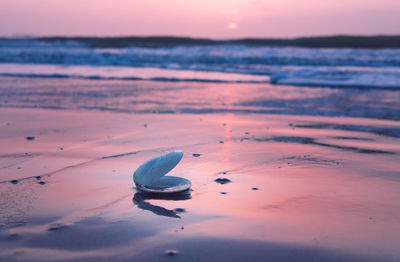 Scenic view of sea during sunset