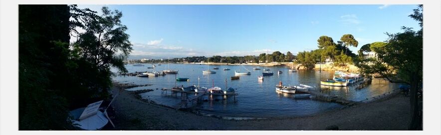 Boats moored in sea