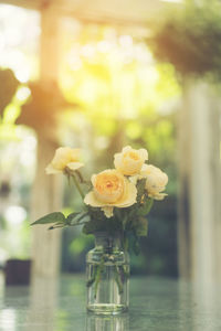 Close-up of rose flower vase on table