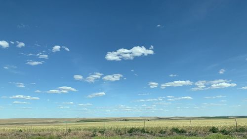 Scenic view of field against blue sky