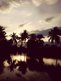 Silhouette palm trees on landscape against sky