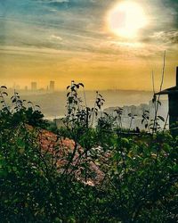 Scenic view of sunset over sea
