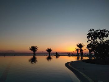 Silhouette palm trees by swimming pool against sky during sunset