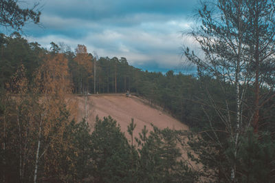 Trees on landscape against sky