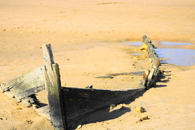 Driftwood on sand at beach