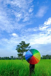 Multi colored umbrella on field against sky