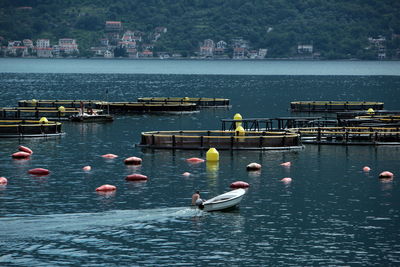 Fish farms and buoys on sea
