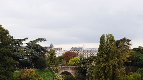 Trees and cityscape against sky