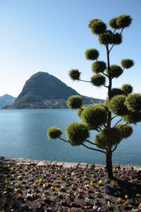 Scenic view of lake and mountains against clear sky