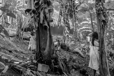 High angle view of people standing by trees in forest