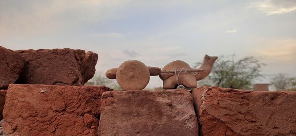 View of animal on rock against sky