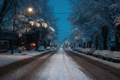 Street amidst trees during winter