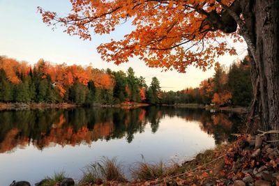 Scenic view of lake against sky during autumn