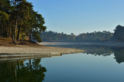 Calm lake with trees against clear sky