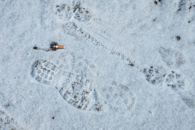 High angle view of people skiing on snow