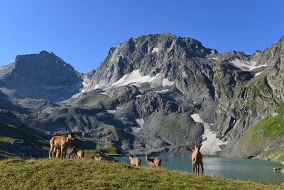 Scenic view of snowcapped mountains against clear sky