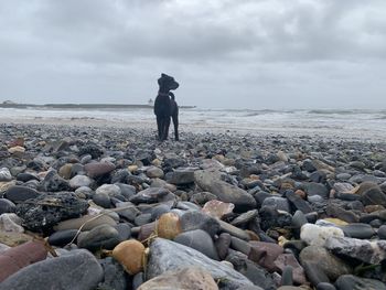 Rear view of man standing on rocks at beach