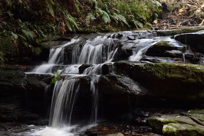 Scenic view of waterfall in forest