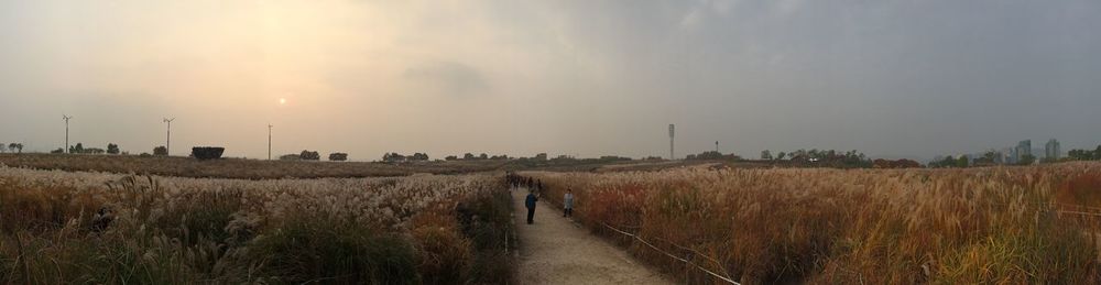 Panoramic view of man walking on field against sky during sunset