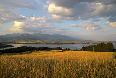 Scenic view of agricultural field against sky