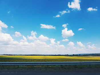 Scenic view of agricultural field against blue sky