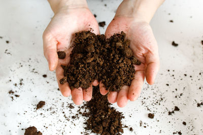 A handful of soil in the hands of a gardener