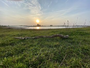 Scenic view of grassy field against sky during sunset