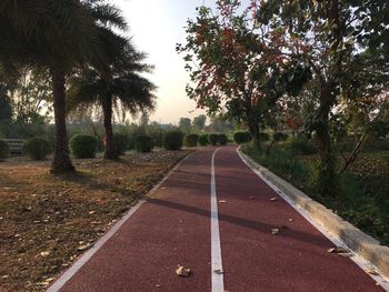 Road amidst trees against sky