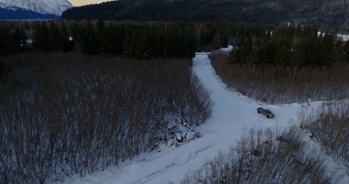 Scenic view of snow covered field by trees