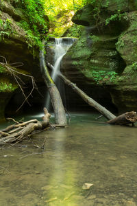 Scenic view of waterfall in forest