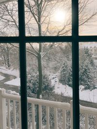 Bare trees seen through window during winter