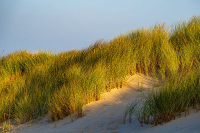 natural environment