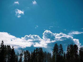 Low angle view of silhouette trees against sky