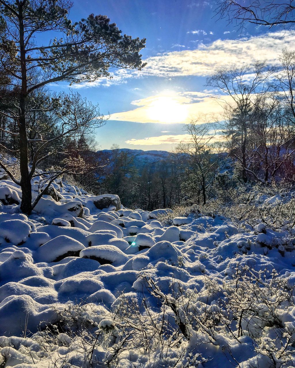 snow, winter, cold temperature, sun, season, tranquil scene, tranquility, landscape, sunlight, beauty in nature, scenics, weather, nature, tree, sunbeam, covering, sky, frozen, field, lens flare