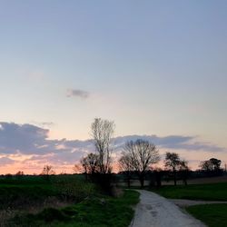 Scenic view of field against sky during sunset