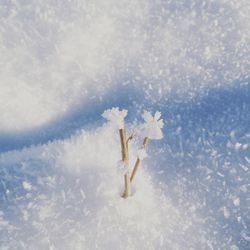 Close-up of frozen ice against sky