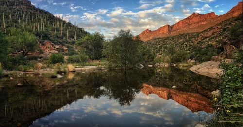 reflection