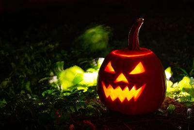 Close-up of illuminated pumpkin against trees at night