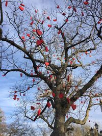 Low angle view of bare tree against sky