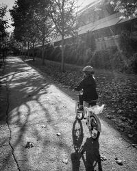 Rear view of boy riding bicycle