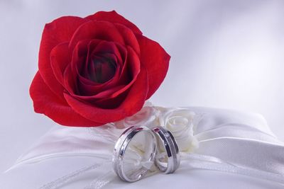 Close-up of wedding rings and rose on white cushion