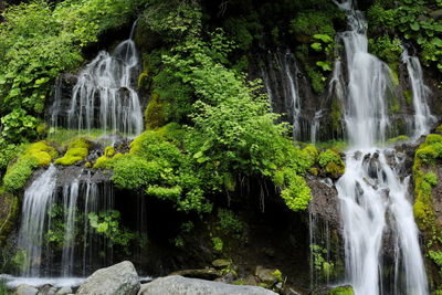 River flowing through rocks