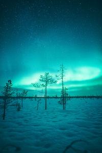 Scenic view of snow covered land against sky during aurora borealis