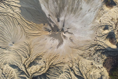 High angle view of plant on sea shore