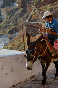 Man riding horse