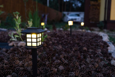 Close-up of illuminated light bulb