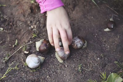 Child touching little snail crowling in summer park